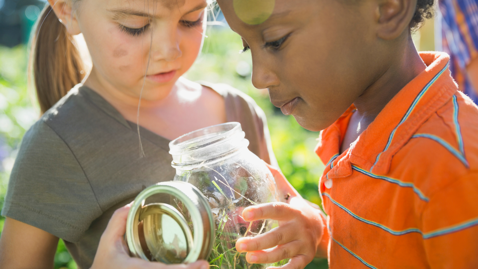 Children peeking in a jar at a bug they are set to release