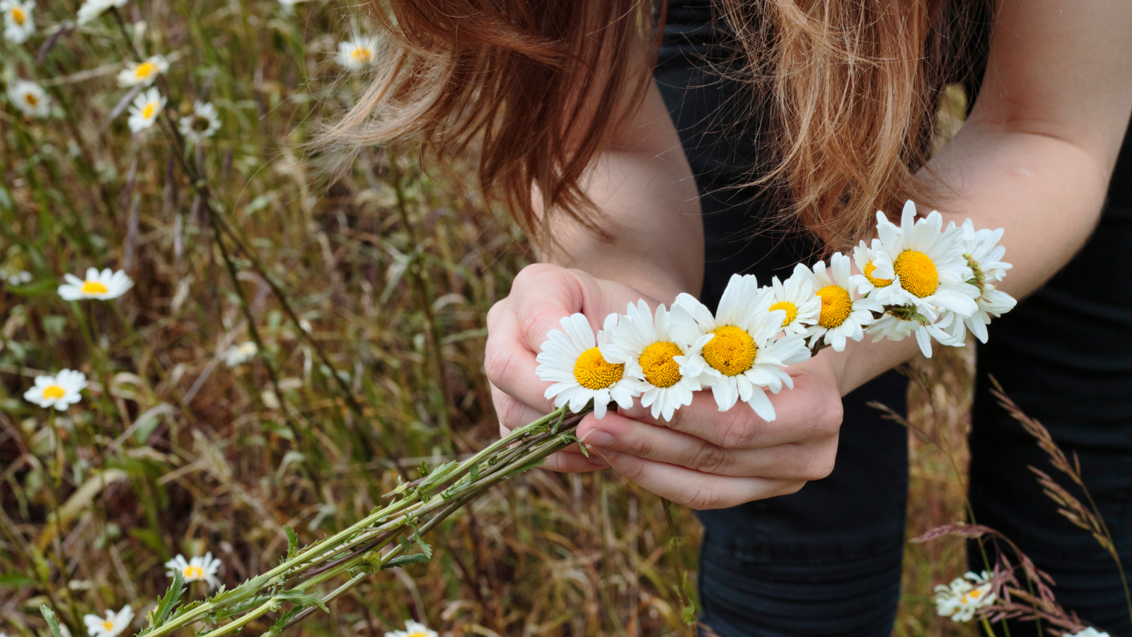 Child making a daisy chain