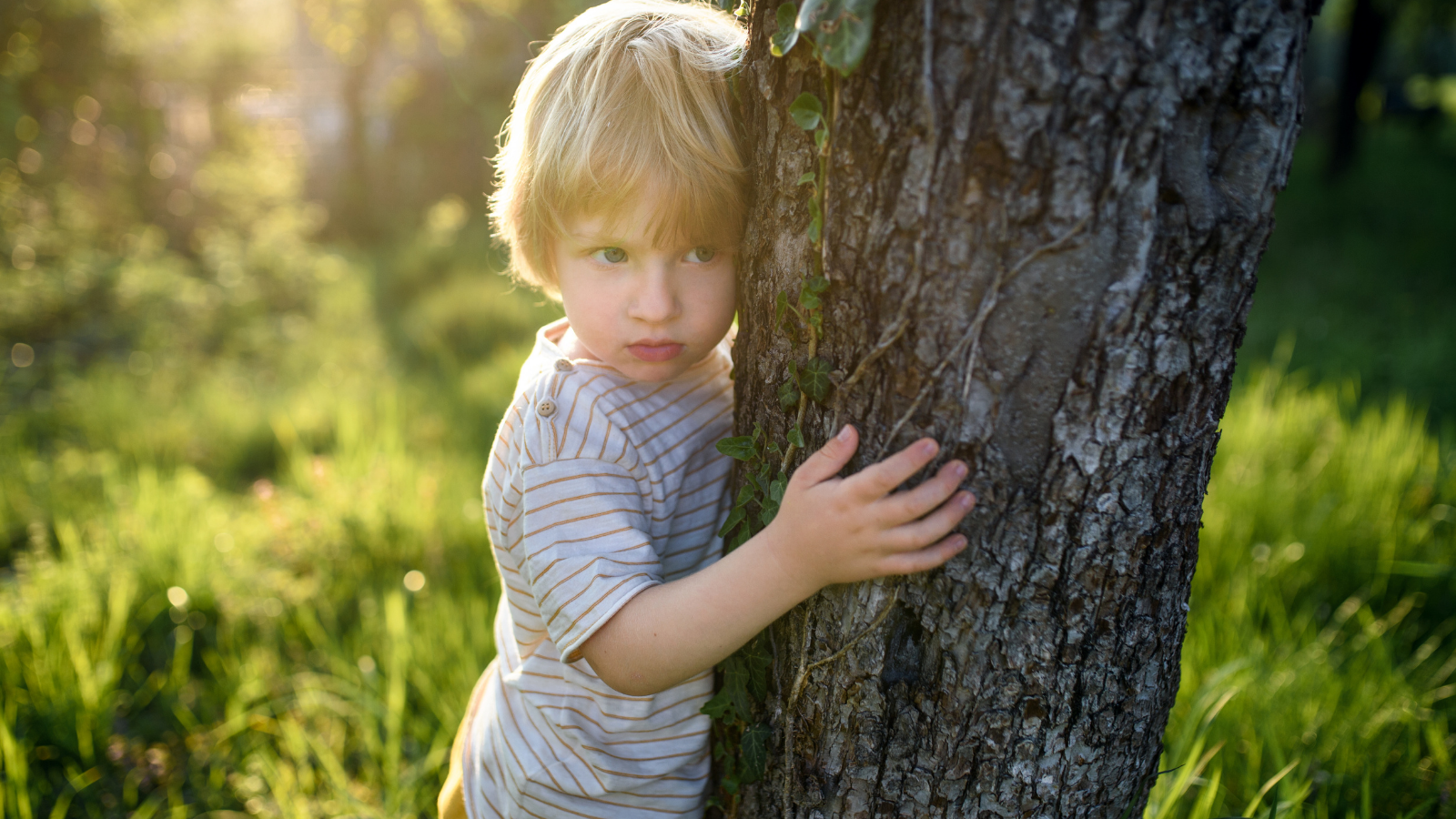 Little boy hugs a tree